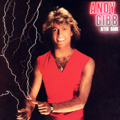Falling In Love With You by Andy Gibb