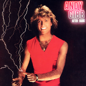 Rest Your Love On Me by Andy Gibb