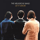 Along Comes A Smile by The Meligrove Band