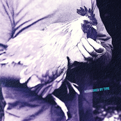 Nourished by Time: Catching Chickens EP