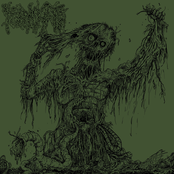Agony Resonates Pleasantly