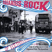 Aquarius Rock: The Hip Reggae World of Herman Chin-Loy