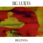 Hodges Blues by Big Leaves