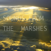 Sounds From The Marshes