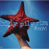 Billy Pilgrim: Bloom