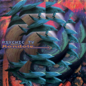 Thee Shadow Creatures by Psychic Tv