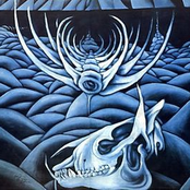 The Smell of The Rainy Air