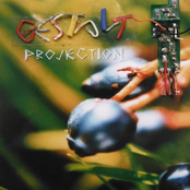 Gestalt Projection
