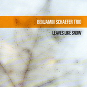 Maelstrom by Benjamin Schaefer Trio