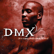 The DMX Files