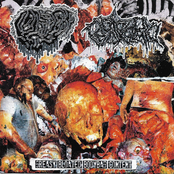 Greasy Bloated Bodybag Content