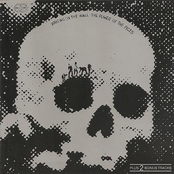 Power Of The Picts, The