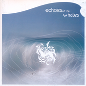 Seeds Are Forever by Echoes Of The Whales