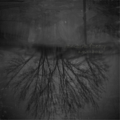 A Monument to the Death of an Idea