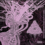 Finally! A Machine That Can Bring Yr Life to a Climax