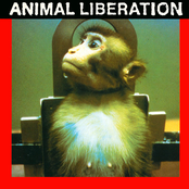 Animal Liberation