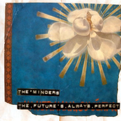 The Minders: The Future's Always Perfect