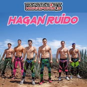 Hagan Ruido