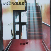 Gangs In My Town by The Magnolias