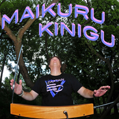 The Trees Are the Right Height