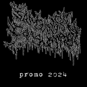 Promo 2024