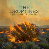 Drought Flower