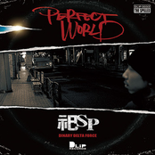 PERFECT WORLD