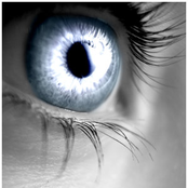 Babylon mixed by thomas summer