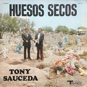 Huesos secos