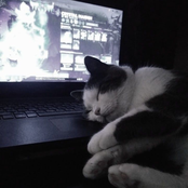 Ican'tlivewithoutyou - Single