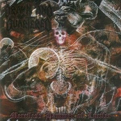 Funeral Pyres Of Annihilation by Drawn And Quartered