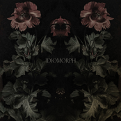 Idiomorph