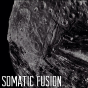 somatic fusion