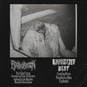 Bowel Erosion / Emulsified Meat