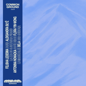 Common Ground vol.4