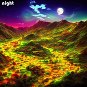 Night