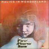 malice in wonderland