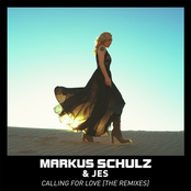 Calling For Love (The Remixes)
