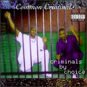 common criminals