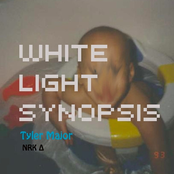 White Light Synopsis