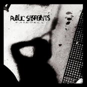 Public Serpents: Farewell