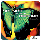 Gentle Healing (trust) by Sounds From The Ground