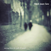 Lives Line Up by Black Swan Lane