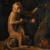 Canzoni contro la ragione