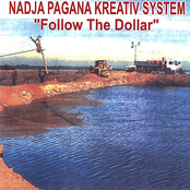 Follow the Dolar