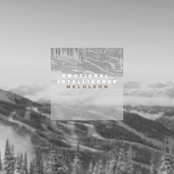 Emotional Intelligence