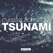 DVBBS: Tsunami