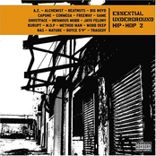 Essential Underground Hip-Hop 2