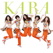 kara (カラ)