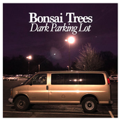 Bonsai Trees: Dark Parking Lot